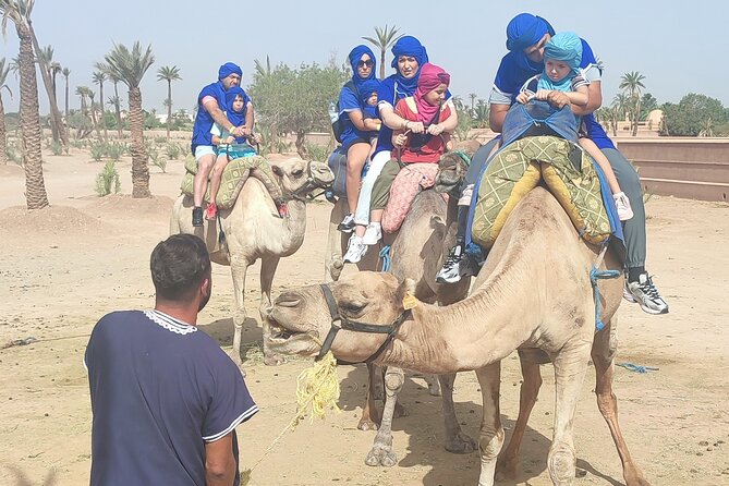 Quad and Dromedary at the Palmeraie of Marrakech With Transport - Itinerary