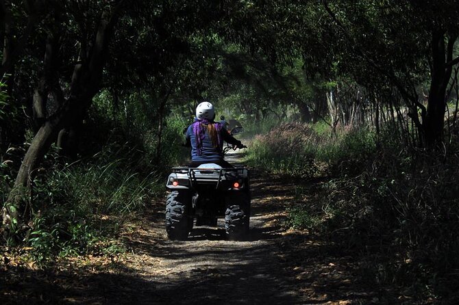 Quad Biking in Belek Forests & Taurus Mountains - Route and Scenery