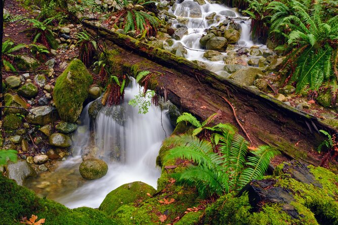 Quarry Rock Hike and Deep Cove Photography - Traveler Tips and Experience