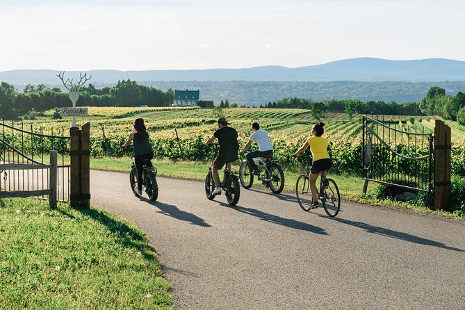 Quebec City : Guided E-Bike Food Tour on Ile Dorleans - Itinerary Highlights