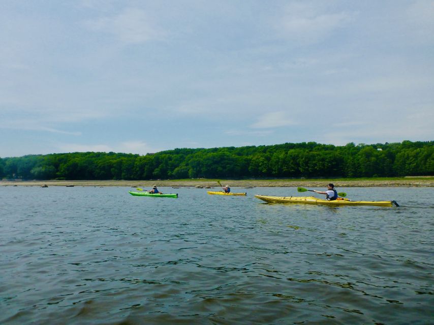 Quebec City: Sea-Kayaking Excursion - Experience Highlights