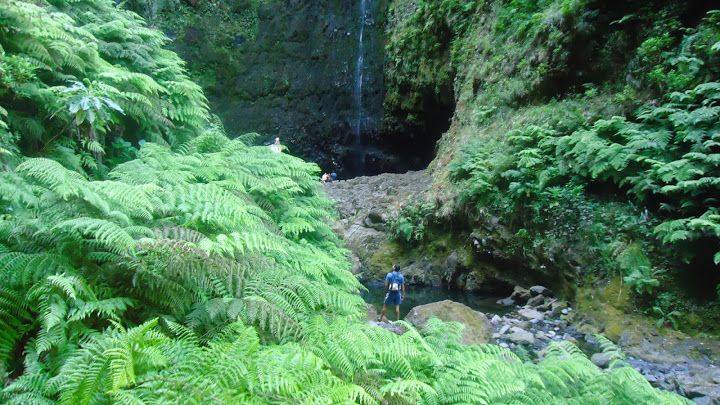 Queimadas Natural Park 5-Hour Guided Hike - Experience Highlights