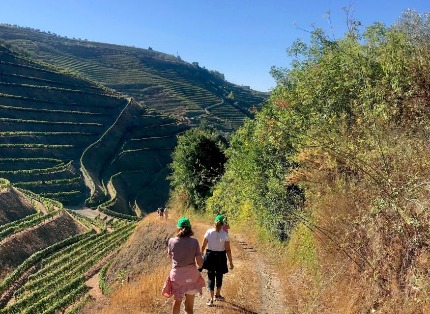 Quinta Do Portal: Walking With Full Lunch and Wine Tasting - Activity Highlights