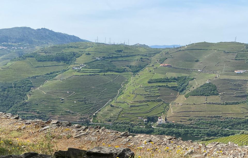 Quinta Do Vallado: Walking With Full Lunch and Wine Tasting - Experience Highlights