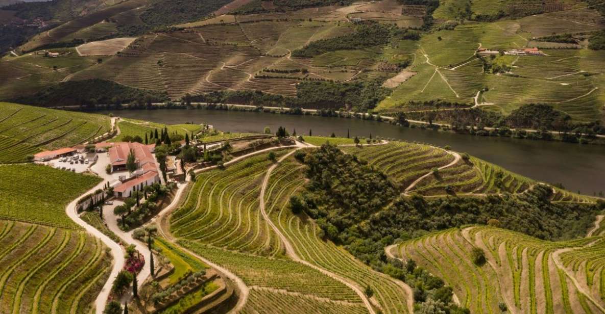 Quinta Nova: Douro Icon Tasting With Guided Tour - Booking Information