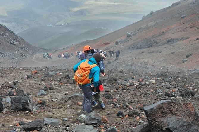 Quito Small-Group Cotopaxi Day Trip - Limpopungo Lagoon Visit
