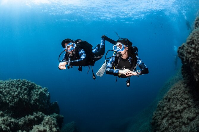 Racha and Coral With Speed Boat Sucuba Dvining With Photo/ Video - Experience Information