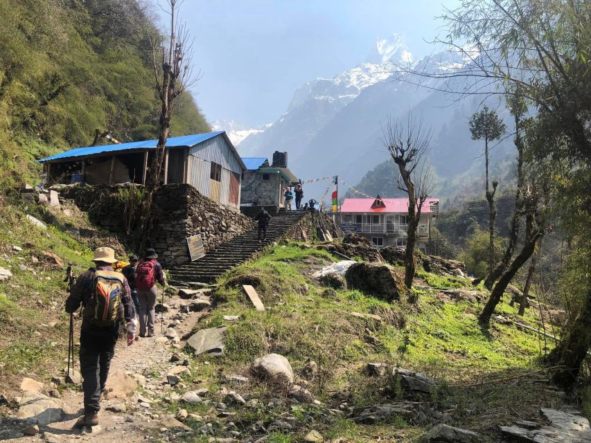 Rapid Annapurna Base Camp Trek - 9 Days - Experience Highlights and Itinerary