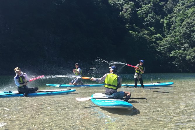 [Recommended on Arrival Date or Before Leaving! ] Relaxing and Relaxing Water Walk Awakawa River SUP - What to Know Before Your SUP Adventure