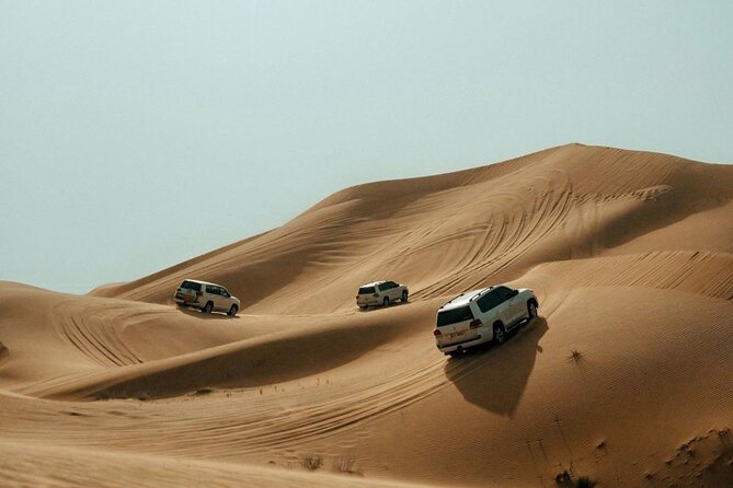 Red Dune Desert Safari Tour With Camel Ride and BBQ Experience . - Experiencing the Red Dunes