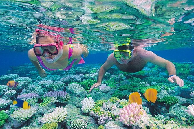 Red Sea Snorkeling From Hurghada - Snorkeling Sites and Marine Life