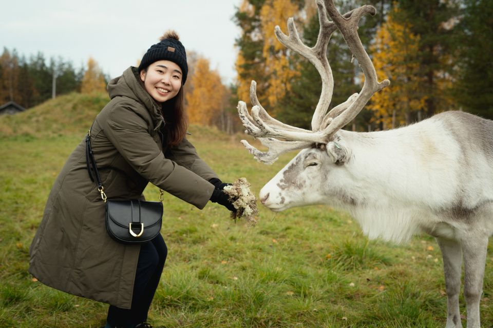 Reindeer Farm Visit With Professional Photographer - Notable Service Features Provided