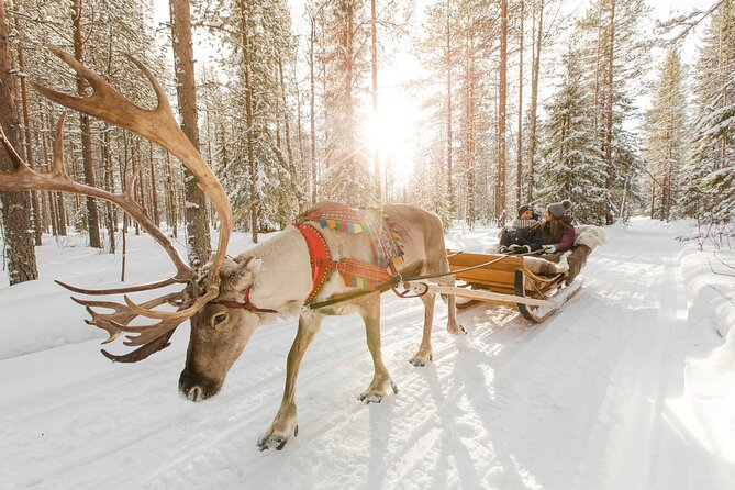 Reindeer Sleigh Ride and Farm Experience From Rovaniemi - Reviews Overview