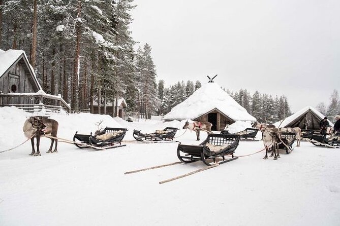 Reindeer Sleigh Ride in the Arctic Forest 2.5 Km - Safari Details and Inclusions