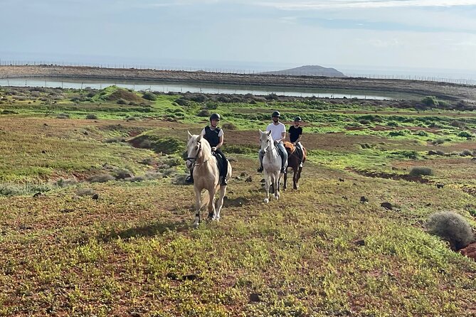 Relaxing Horse Riding Tour in Gran Canaria - Participant Guidelines and Restrictions