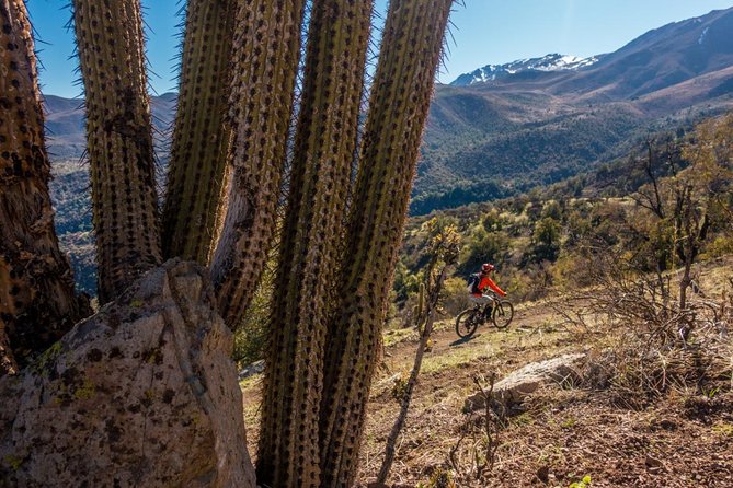 Rent an Electric Mountain Bike in Santiago to Ride in a Bike Park - Overview of the Experience