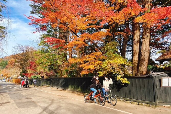 Rental Bicycle With Electric Assist / Satoyama Cycling Tour - Booking Details