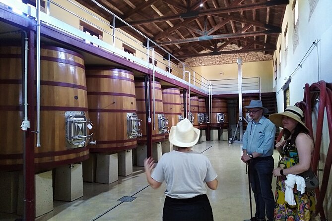 Requena Half-Day Private Vineyards & Premium Wine Tastings Tour - Wine Tasting Sessions