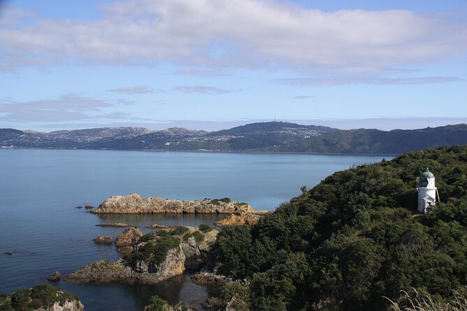 Return Ferry Trip to MāTiu/Somes Island - Ferry Schedule