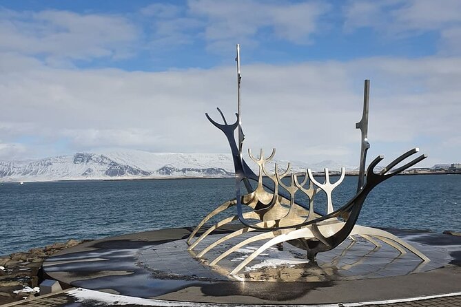 Reykjavik City Private Tour - Inclusions