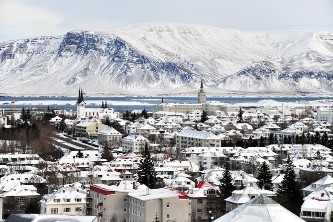 Reykjavik City Walking Tour - Traveler Feedback and Reviews