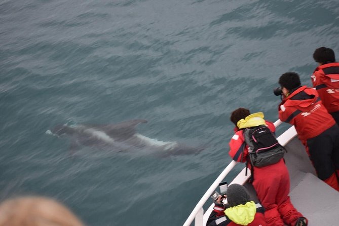 Reykjavik Puffins and Whale-Watching Boat Tour - Ticket Redemption Location