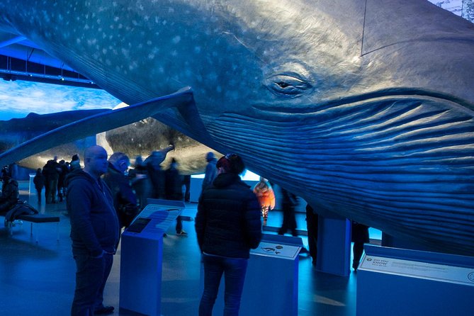 Reykjavik Whale-Watching Tour With Whales of Iceland Visit - Whales of Iceland Exhibition