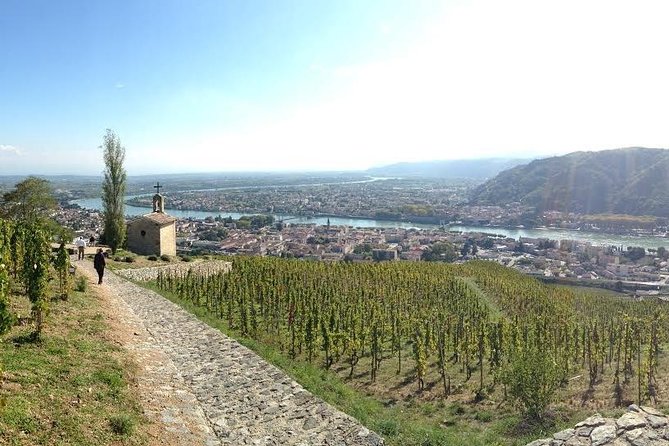 Rhône Valley Wine & Chocolate Tasting Private Day Tour From Lyon - Pricing and Booking Details