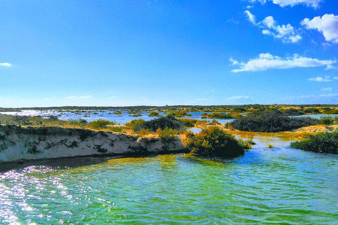 Ria Formosa Private 6 Hours Guided Tour in Classic Boat, Olhão. - Booking Process