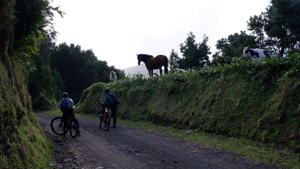 Ribeira Grande: Guided E-Bike Tour - Experience Highlights