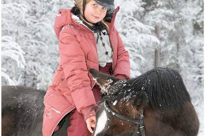 Riding Tour With Finnhorses at Santa Claus Village - Meeting and Transportation