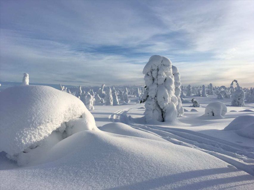 Riisitunturi National Park: Wilderness Expedition & Barbeque - Experience Highlights in Lapland Wilderness
