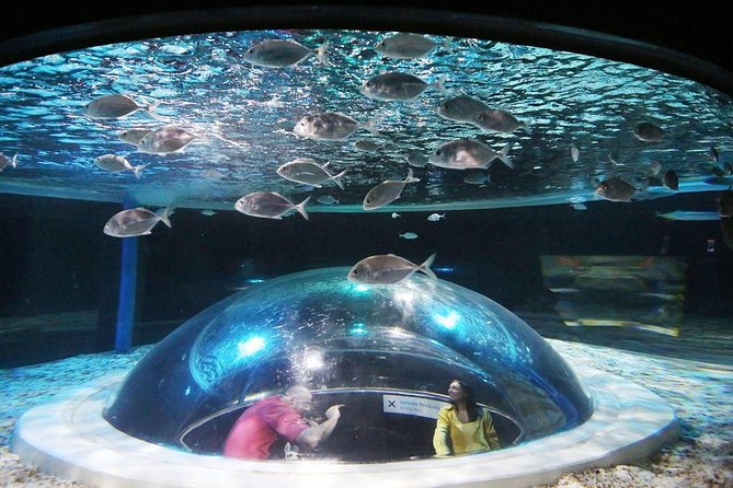 Rio De Janeiro Aquarium Ticket With Transport - Experience Overview