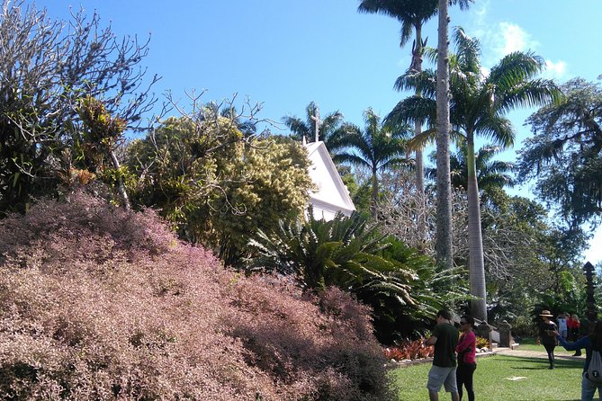 Rio De Janeiro: Small-Group Tour of Roberto Burle Marx Site - Cancellation Policy