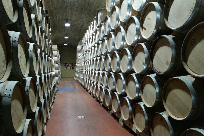 Rioja Winery Private Trip  - San Sebastian - Behind-the-Scenes Insights