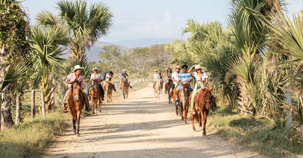 River, Ocean & Sunset Horse Riding Tour - Experience Highlights
