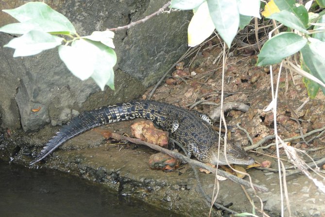 River Safari Bentota - Visitor Assistance Details