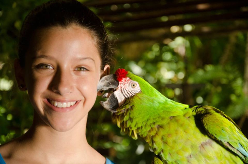 Riviera Maya: Croco Cun Interactive Zoo Tour - Inclusions