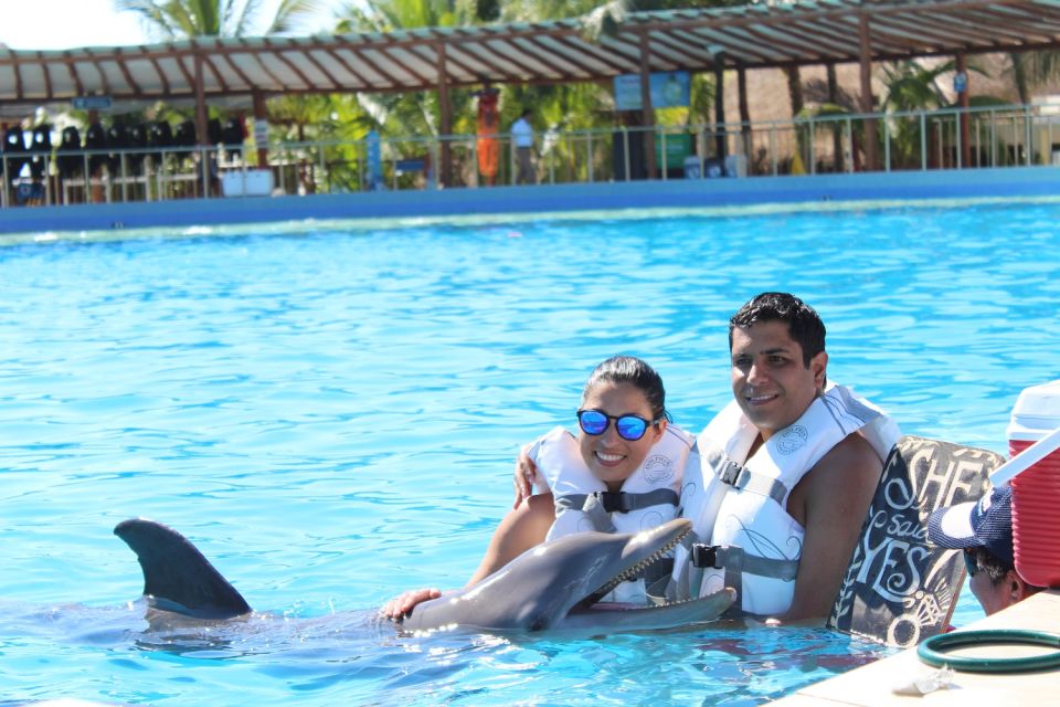 Riviera Maya: Dolphin Encounter With Beach Club Access - Experience
