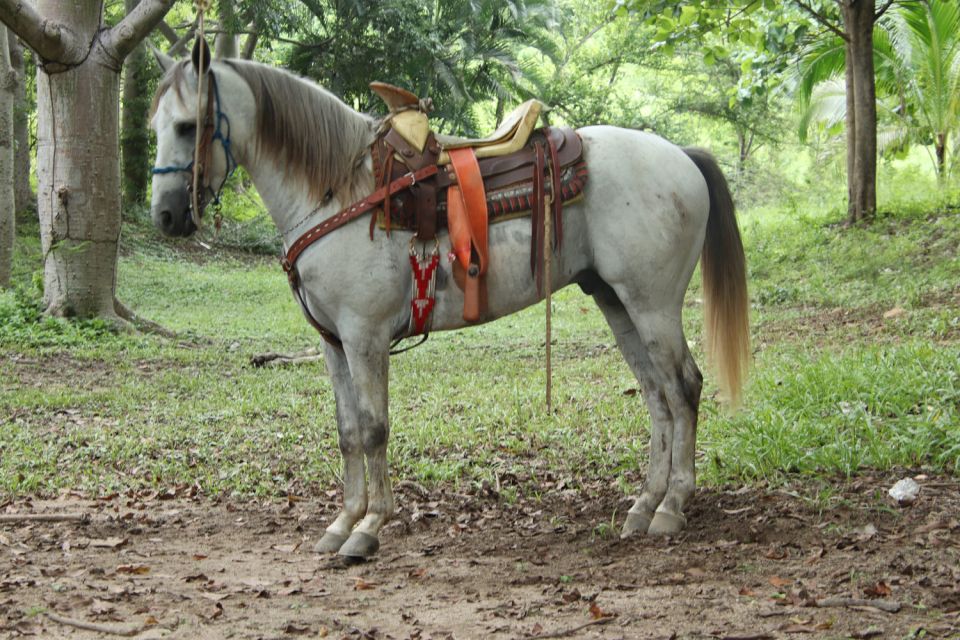 Riviera Nayarit: Horseback Ride and ATV Ride - Location Details