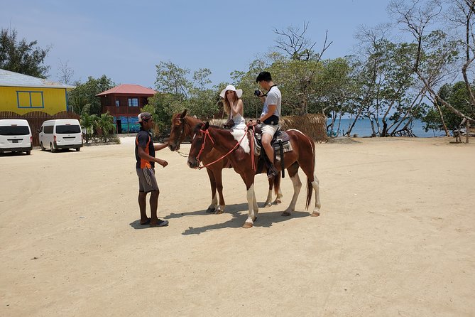 Roatan Excursion: Horseback Ride / Plus Sloth Park and Glass Bottom Boat - Booking Information