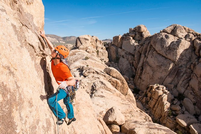 Rock Climbing Trips in Joshua Tree National Park (4 Hours) - Equipment Provided