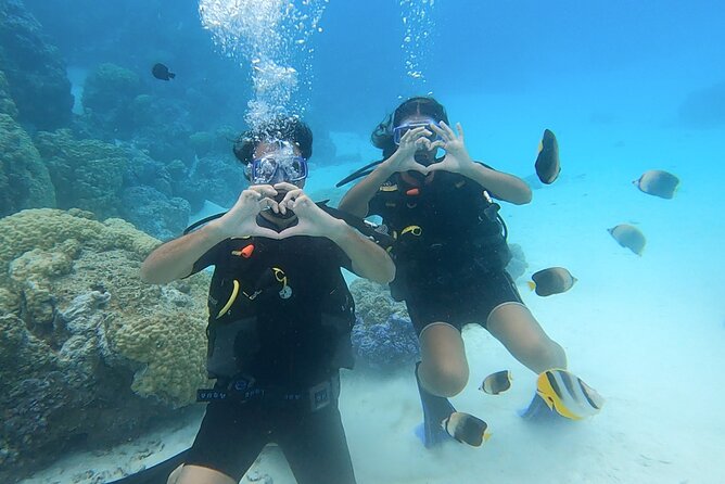 Romantic Dive for Beginners in Bora Bora (2 People) With Video - Cancellation Policy