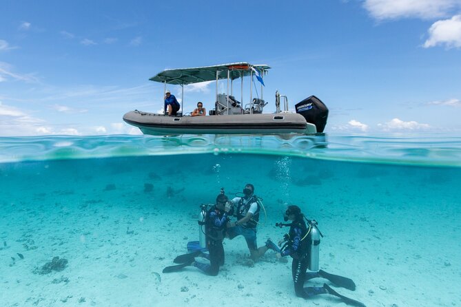 Romantic Dive in the Lagoon of Bora Bora. Private Instructor on a Shared Boat - Booking and Information