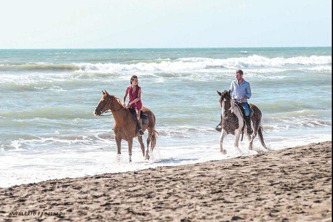 Rome Private Half-Day Beach Horseback Ride - Cancellation Policy