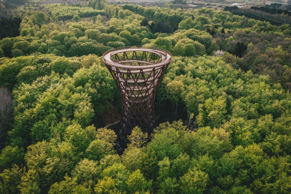 Rønnede: Camp Adventure Forest Tower Entry Ticket - Experience