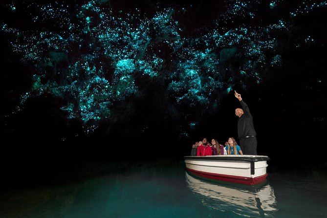 Rotorua to Auckland Afternoon Transfer With Waitomo Glow Worms - Customer Experience