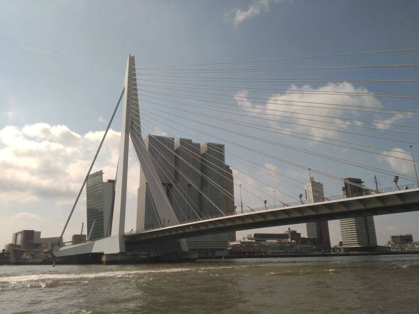 Rotterdam Architecture: Centre and South Bank With Watertaxi - Experience Highlights