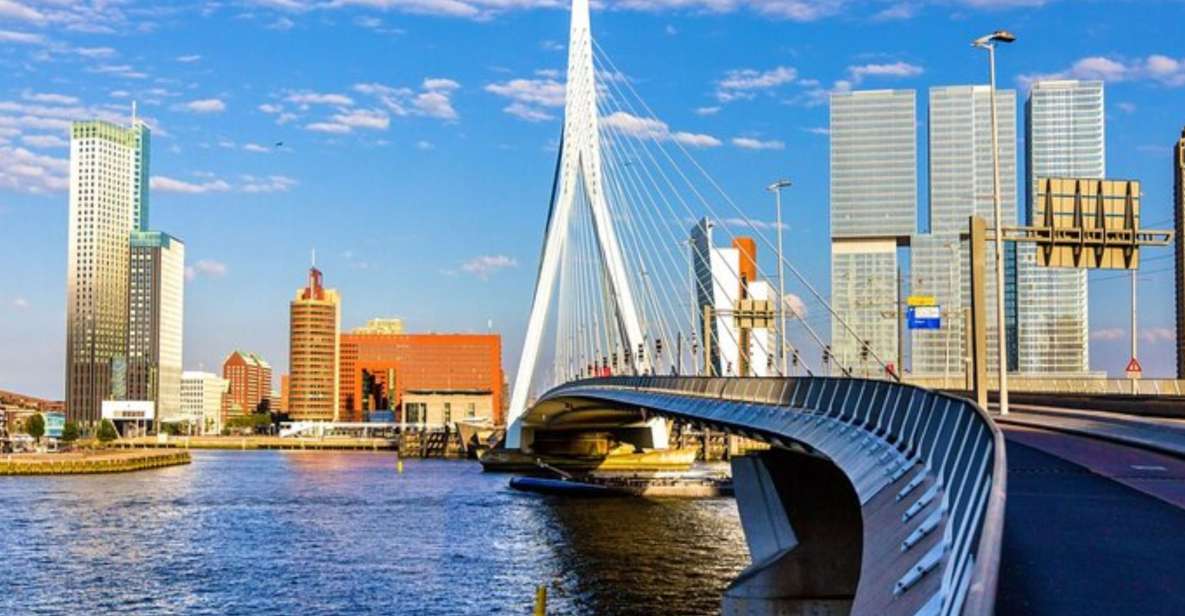 Rotterdam: Private Custom Walking Tour With Local Guide - Customizable Experience