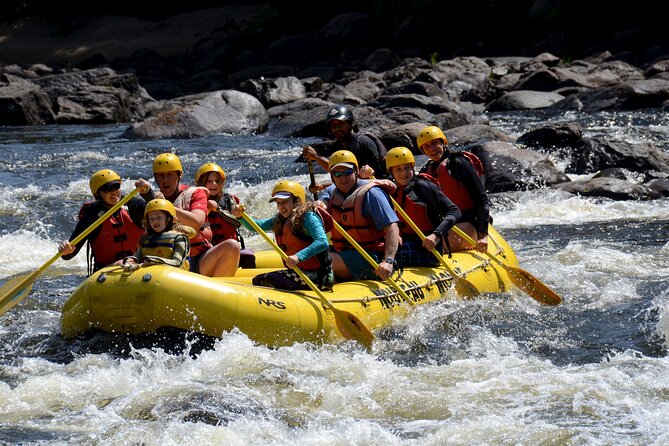 Rouge River Family Rafting Must Include a Kid (6-11 Yrs) - Rafting Route Highlights